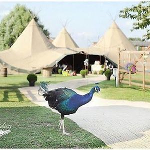 Skipbridge Farm Shepherds Huts Campground Hotell Green Hammerton Exterior photo