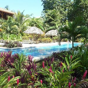 Bluff Beach Retreat Bed & Breakfast Bocas del Toro Exterior photo