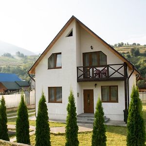 Sunhouse Villa Mizhhirya  Exterior photo