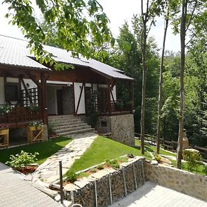 Casa Gozna Leilighet Văliug Exterior photo