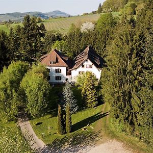 Gaestehaus Kaltenbach Hotell Staufen im Breisgau Exterior photo