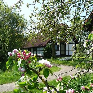 Ferienhaus Deichgraf 86 Im Feriend Villa Bachenbrock Exterior photo