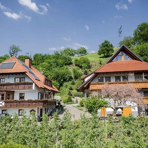 Ferienwohnungen Mueller Haslach im Kinzigtal Exterior photo