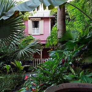 Pink Plantation House Hotell Castries Exterior photo