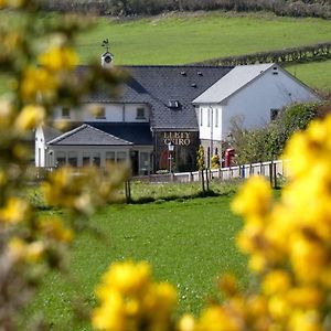 Llety Ceiro Guesthouse Aberystwyth Exterior photo