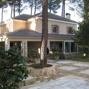 El Chalet Del Pinar Villa Cuenca  Exterior photo