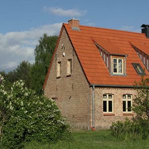 Ferienhaus Amalienhof Leilighet Boek Exterior photo