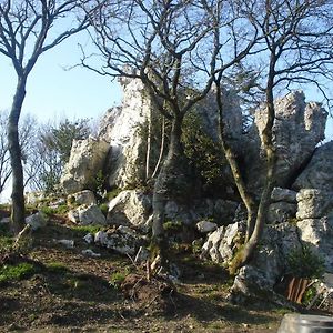 Le Rocher Du Samoyede Hotell Dirinon Exterior photo