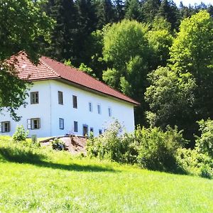 Ferienhaus Herrnbauer Leilighet Zaglau Exterior photo