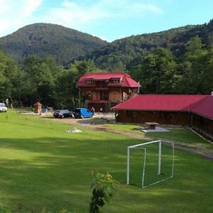 Pensiunea La Busu -Bigar Hotell Bozovici Exterior photo