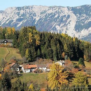 Miniferienwohnung Fuer Unkompliziertes Naturliebhaberpaerchen Payerbach Exterior photo