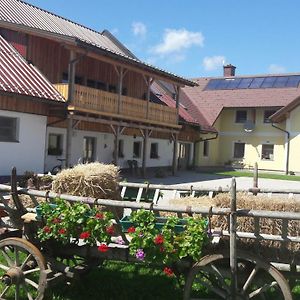 Oetscherblick Fam Winter Leilighet Frankenfels Exterior photo