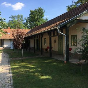 Farm House Leilighet Domaszék Exterior photo