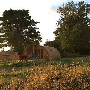 Brynllwyd Glamping Hotell Devils Bridge Exterior photo