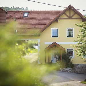 Gaestehaus Gnant Leilighet Winten  Exterior photo