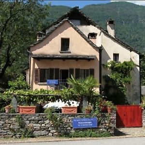 Palazzo Eglin - Safe Landscape Leilighet Maggia Exterior photo