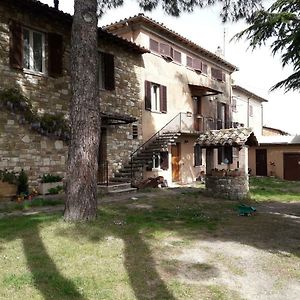 Il Rifugio Del Leone Leilighet Perugia Exterior photo