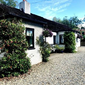 The Wicklow Escape (Adults Only) Villa Donard Exterior photo