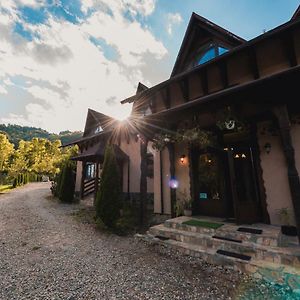 Pensiunea Valea Cu Salcami Hotell Viseu de Jos Exterior photo