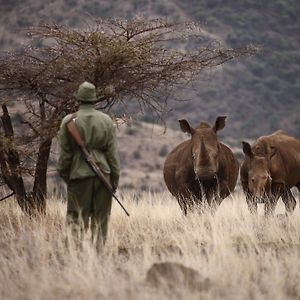 Elewana Lewa Safari Camp Hotell Meru Exterior photo