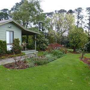 The Little House On The Hill Hotell Healesville Exterior photo