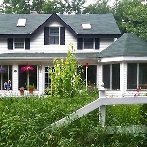 Play All Day - Sleep By The Stream At Night - Swimming Hole Leilighet Palenville Exterior photo