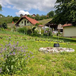 Domacija Vesel Villa Trebnje Exterior photo