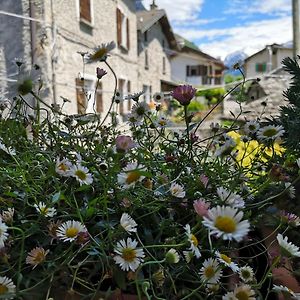 San Carlo Leilighet Chiavenna Exterior photo