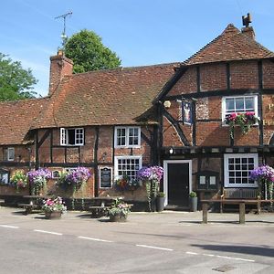 The Plume Of Feathers Bed & Breakfast Farnham  Exterior photo