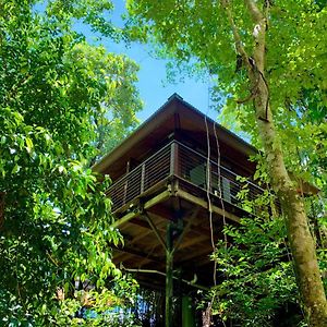 Cairns Rainforest Retreat Hotell Exterior photo