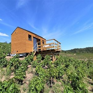 Tiny House Au Coeur Du Vignoble Beaujolais Hotell Fleurie Exterior photo