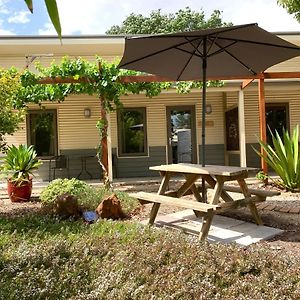 The Grape And Olive At Willunga Hotell Exterior photo