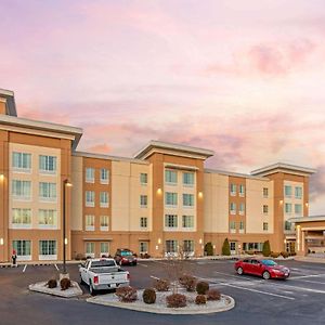 La Quinta By Wyndham Paducah Hotell Exterior photo